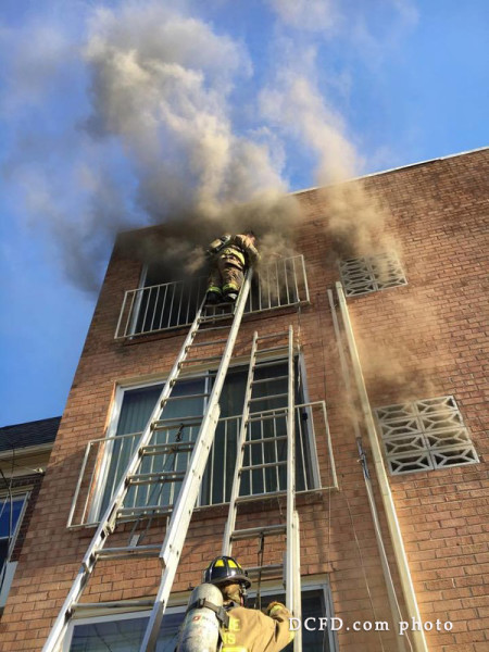 firefighter rescues victim via ladder