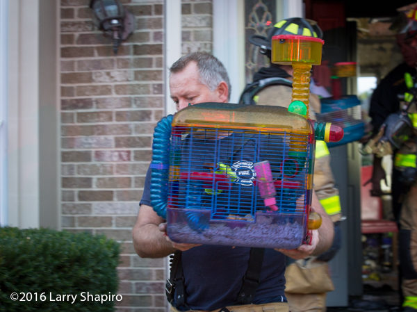 firefighter saves pets from fire