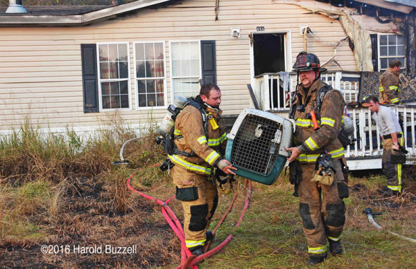 Firefighters rescue dog from house fire