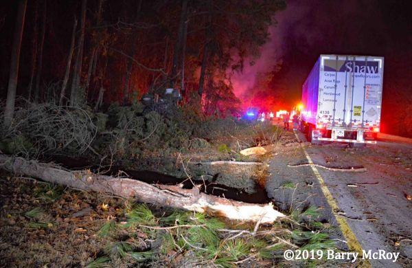 trees destroyed by tractor trailer crash